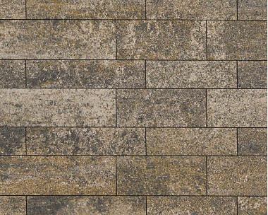 Тротуарная плитка Выбор Паркет мультиформатный Б.16.Псм.8 80 мм Искусственный камень Базальт